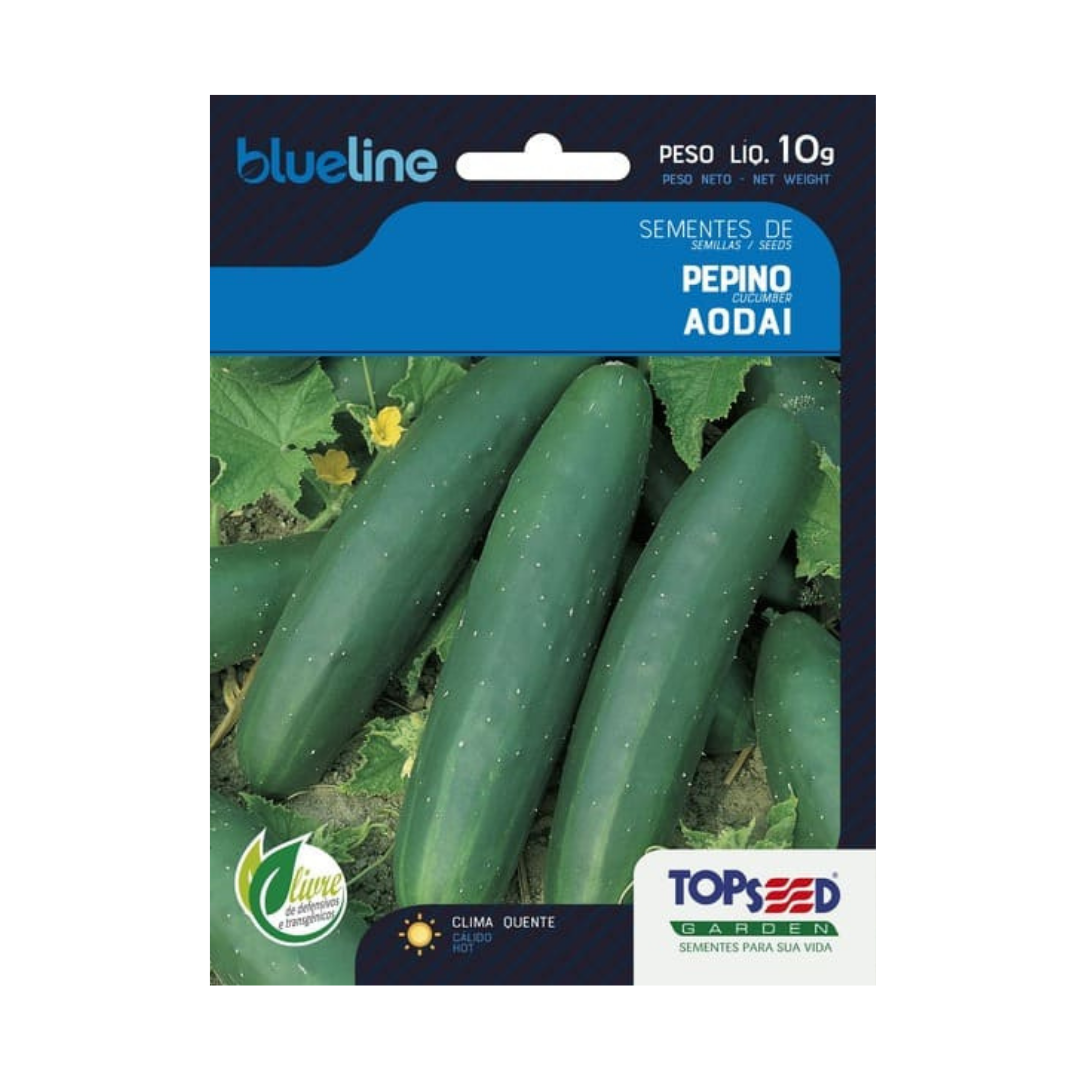 Semente De Pepino Aodai Verde Comprido Blue Line 10g | Topseed