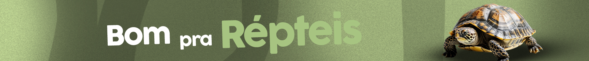 Category Banner