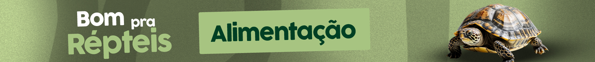 Category Banner