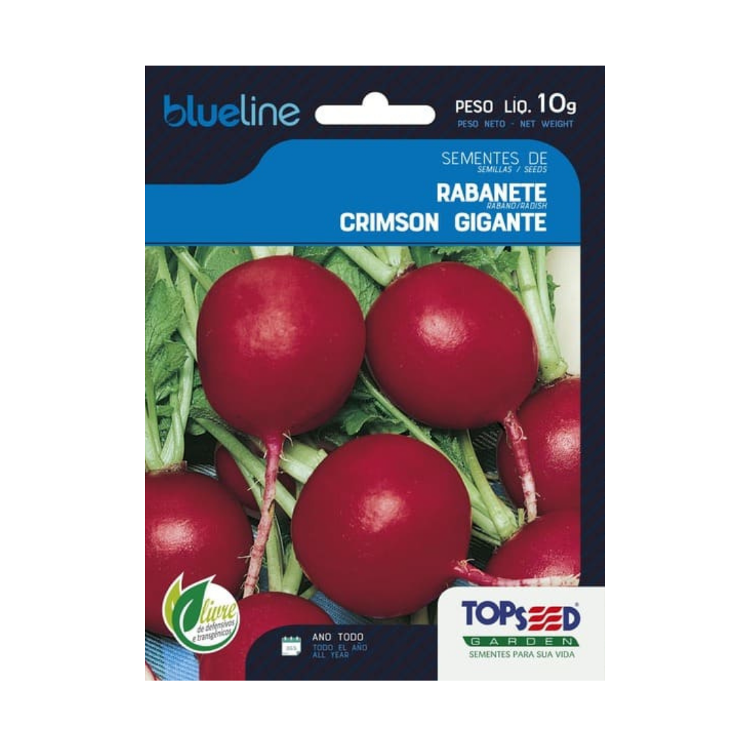 Semente De Rabanete Crimson Gigante Blue Line 10g | Topseed