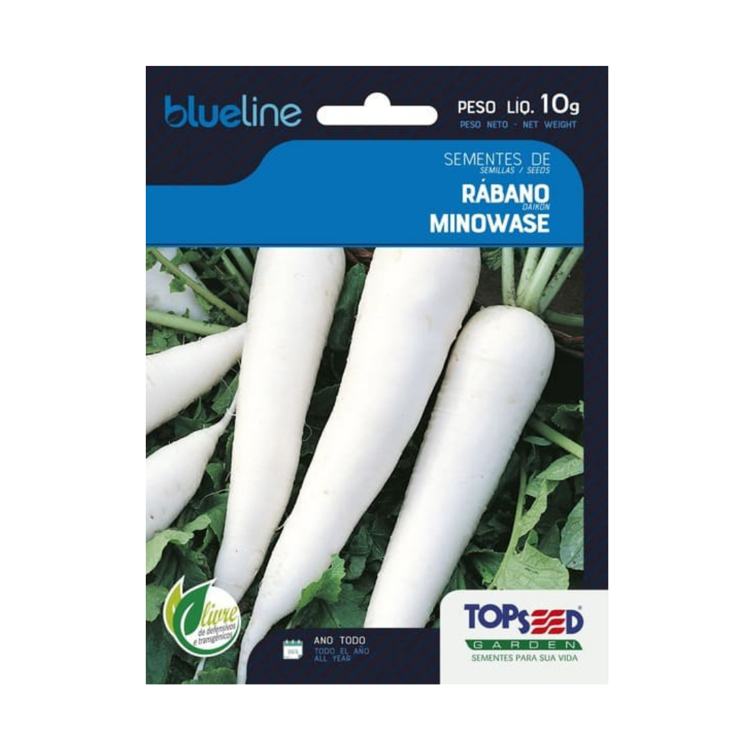 Semente De Rabano Minowase Blue Line 10g | Topseed