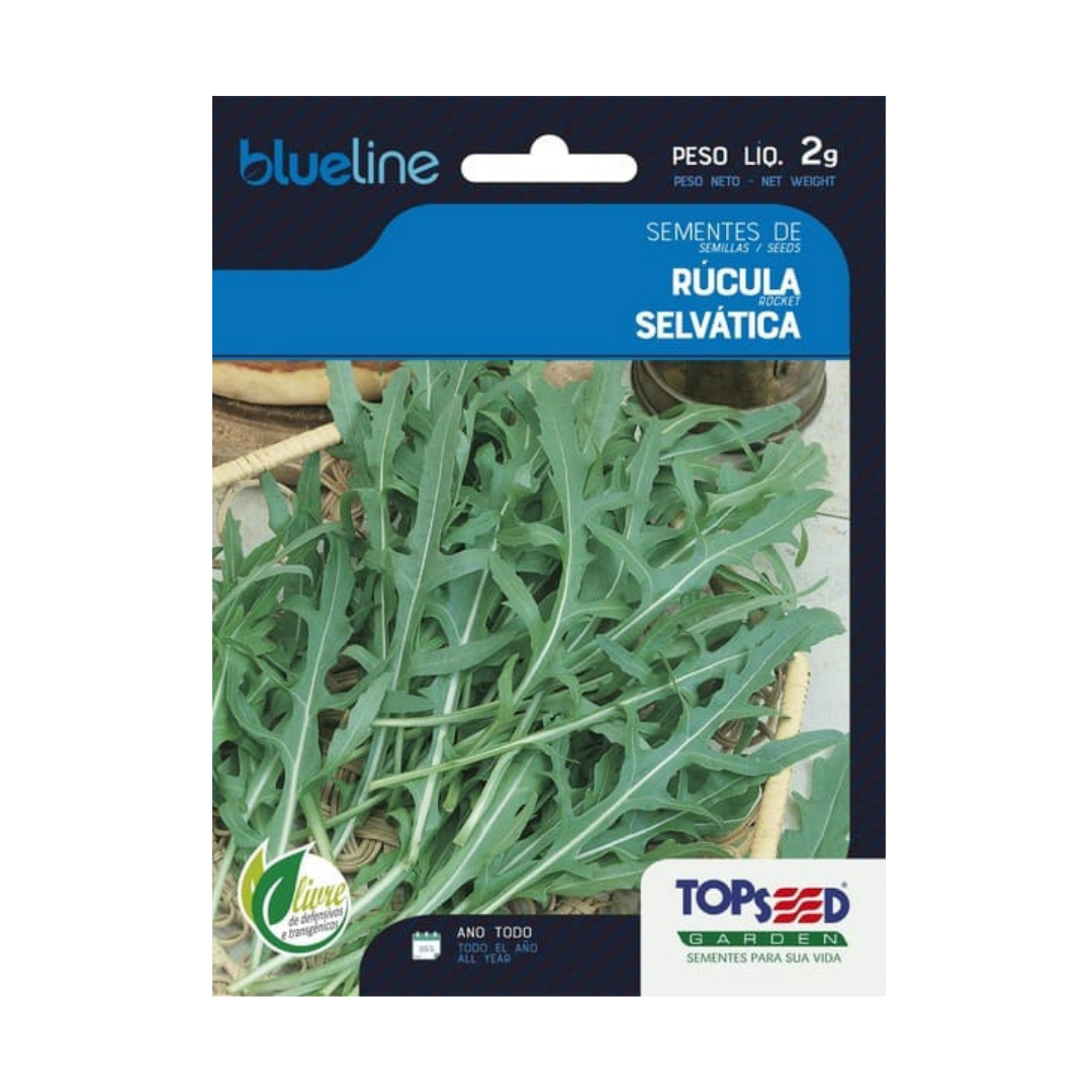 Semente De Rúcula Selvática Blue Line 2g | Topseed