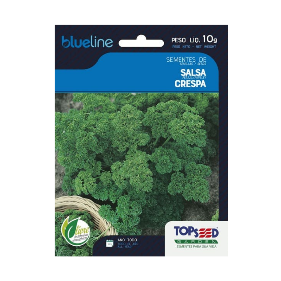 Semente De Salsa Crespa Blue Line 10g | Topseed