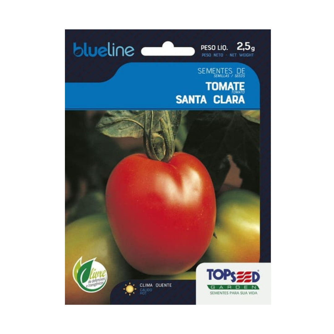 Semente De Tomate Santa Clara Blue Line 2,5g | Topseed