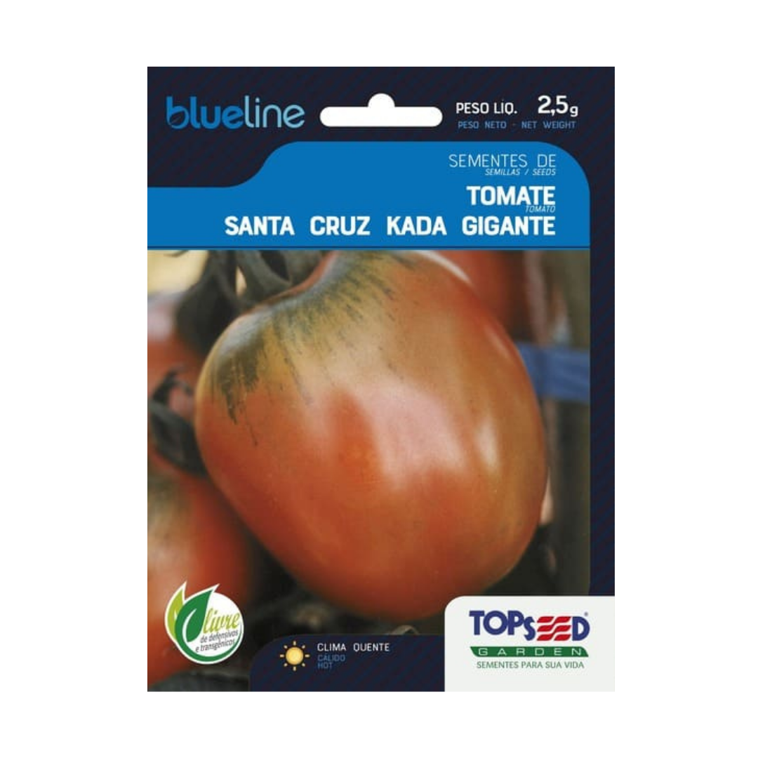 Semente De Tomate Santa Cruz Kada Gigante Blue Line 2,5g | Topseed