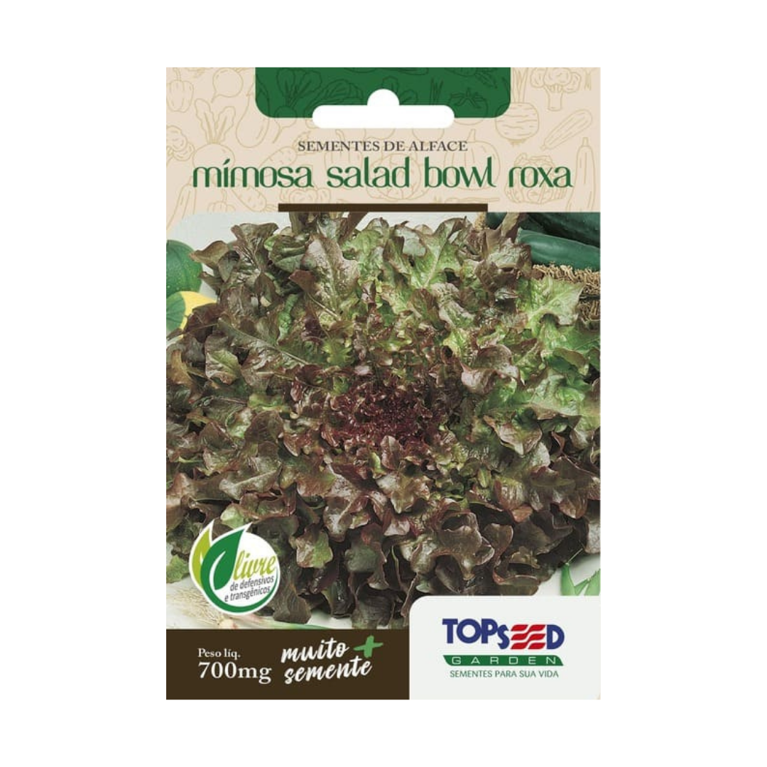 Semente De Alface Mimosa Salad Bowl Roxa 700mg | Topseed