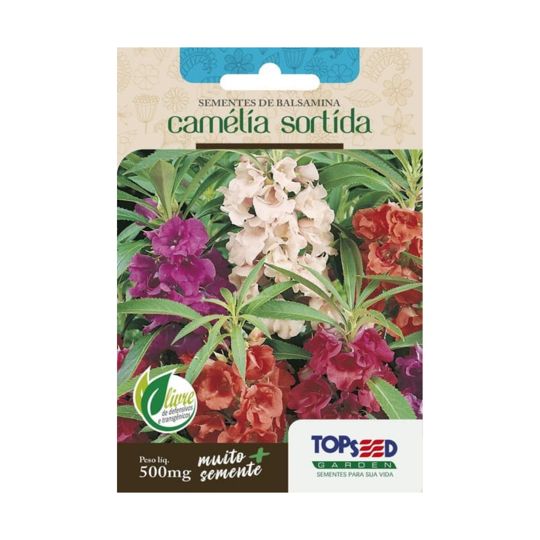 Semente De Balsamina Camélia Sortida 500mg | Topseed