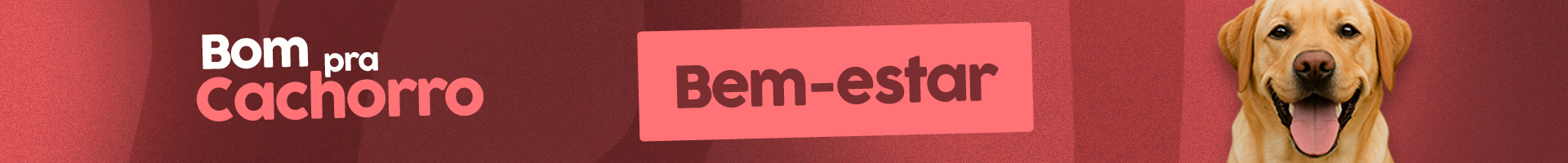 Category Banner