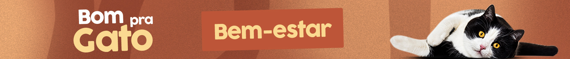 Category Banner