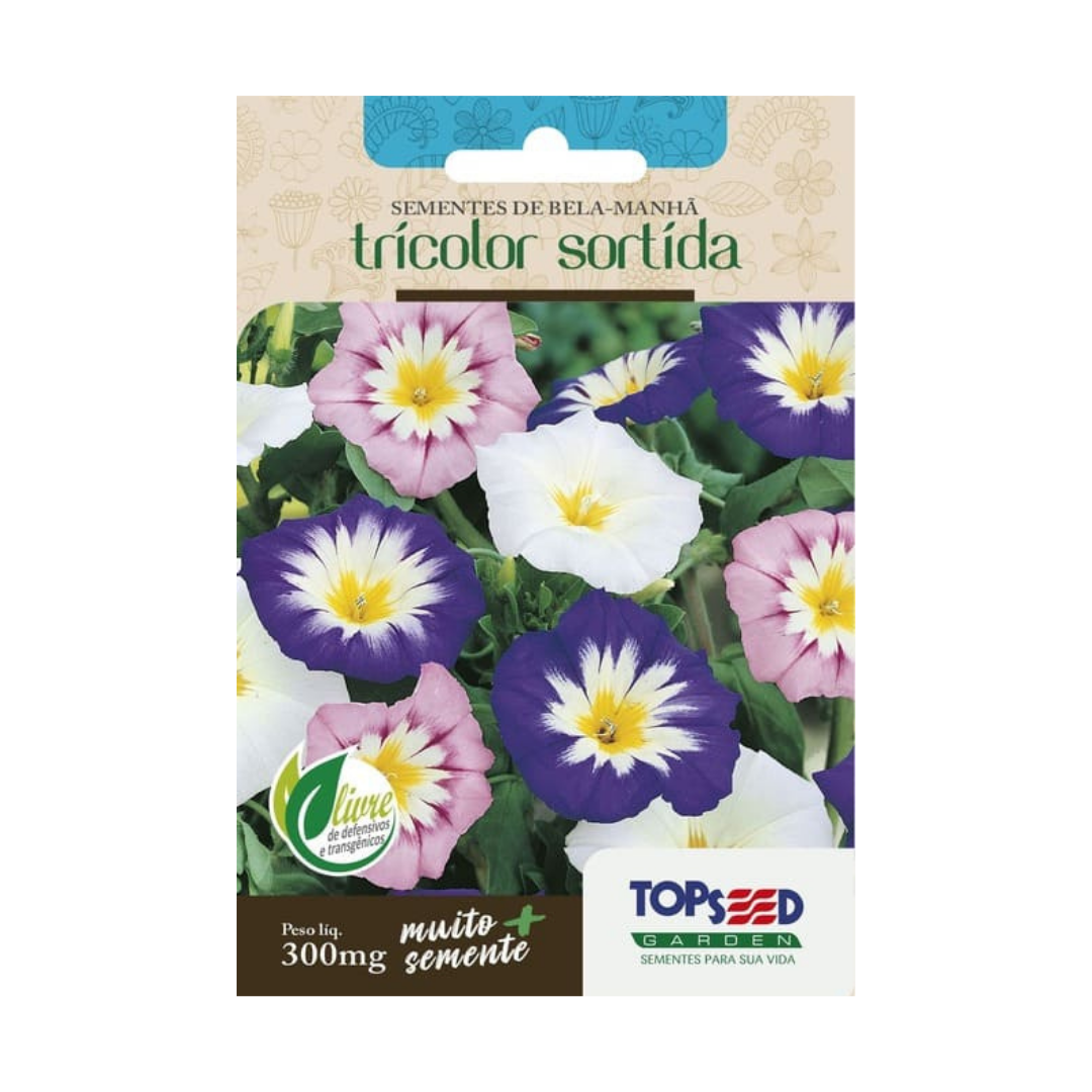 Semente De Bela Manhã Tricolor Sortida 300mg | Topseed