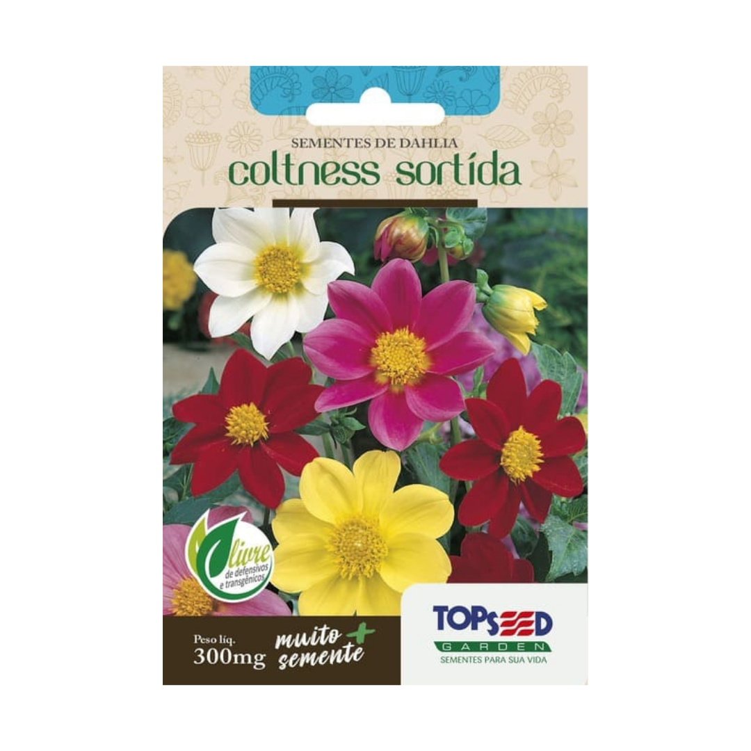 Semente De Dahlia Coltness Sortida 300mg | Topseed