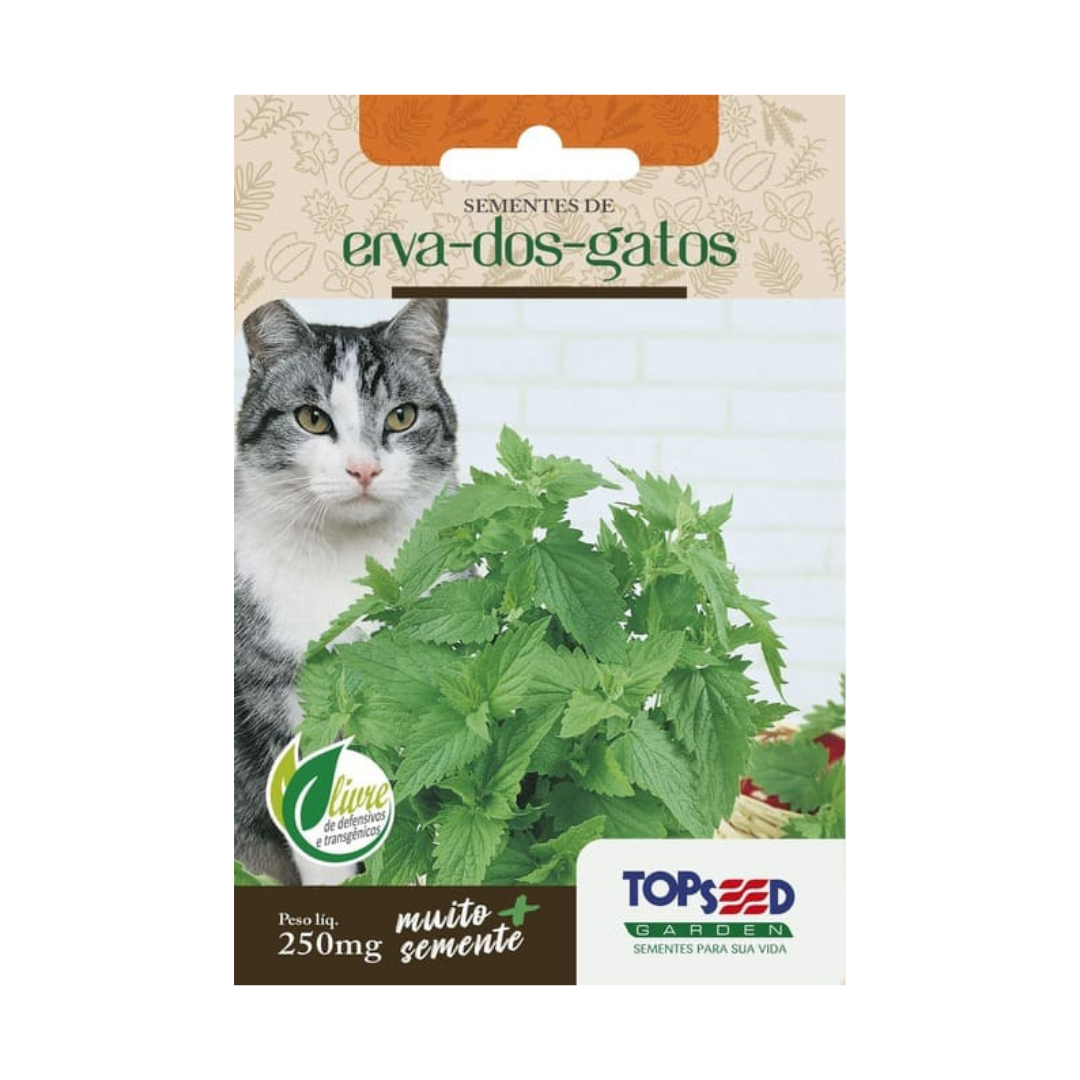 Semente De Erva Dos Gatos 250mg | Topseed