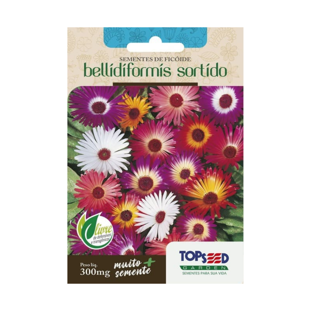 Semente De Ficoide Bellidiformis 300mg | Topseed
