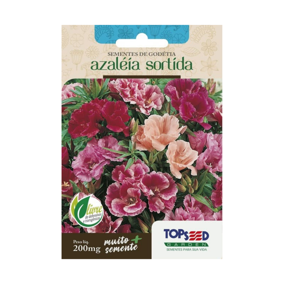 Semente De Godétia Azaléia Sortida 200mg | Topseed