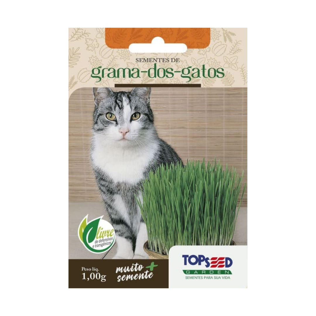 Semente De Grama Dos Gatos 1g | Topseed