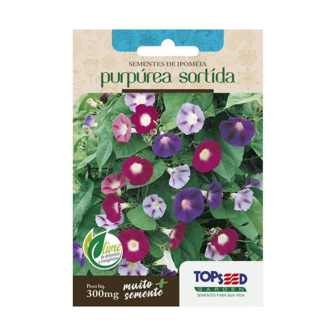 Semente De Ipoméia Purpúrea Sortida 300mg | Topseed