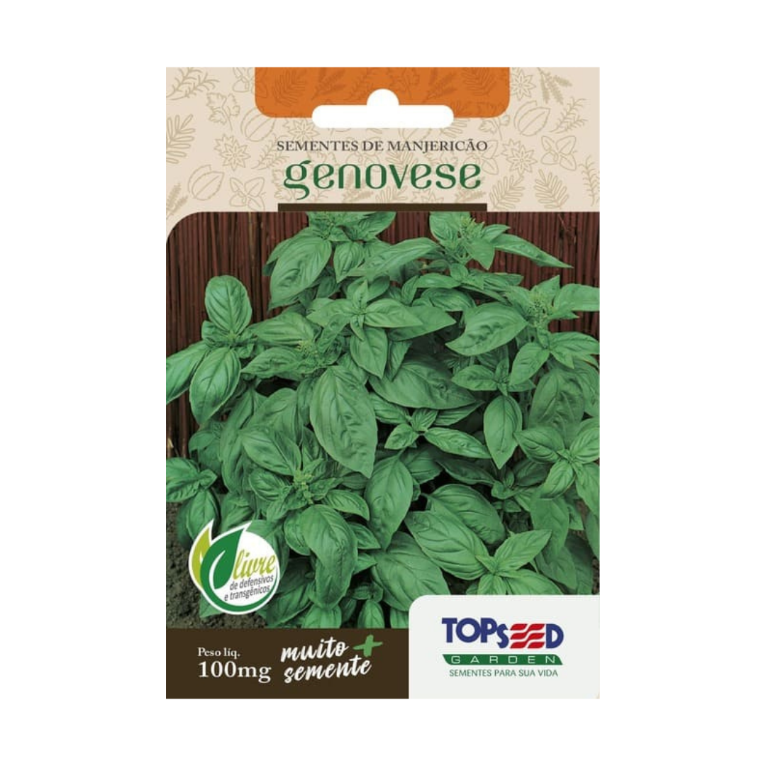 Semente De Manjericão Genovese 100mg | Topseed