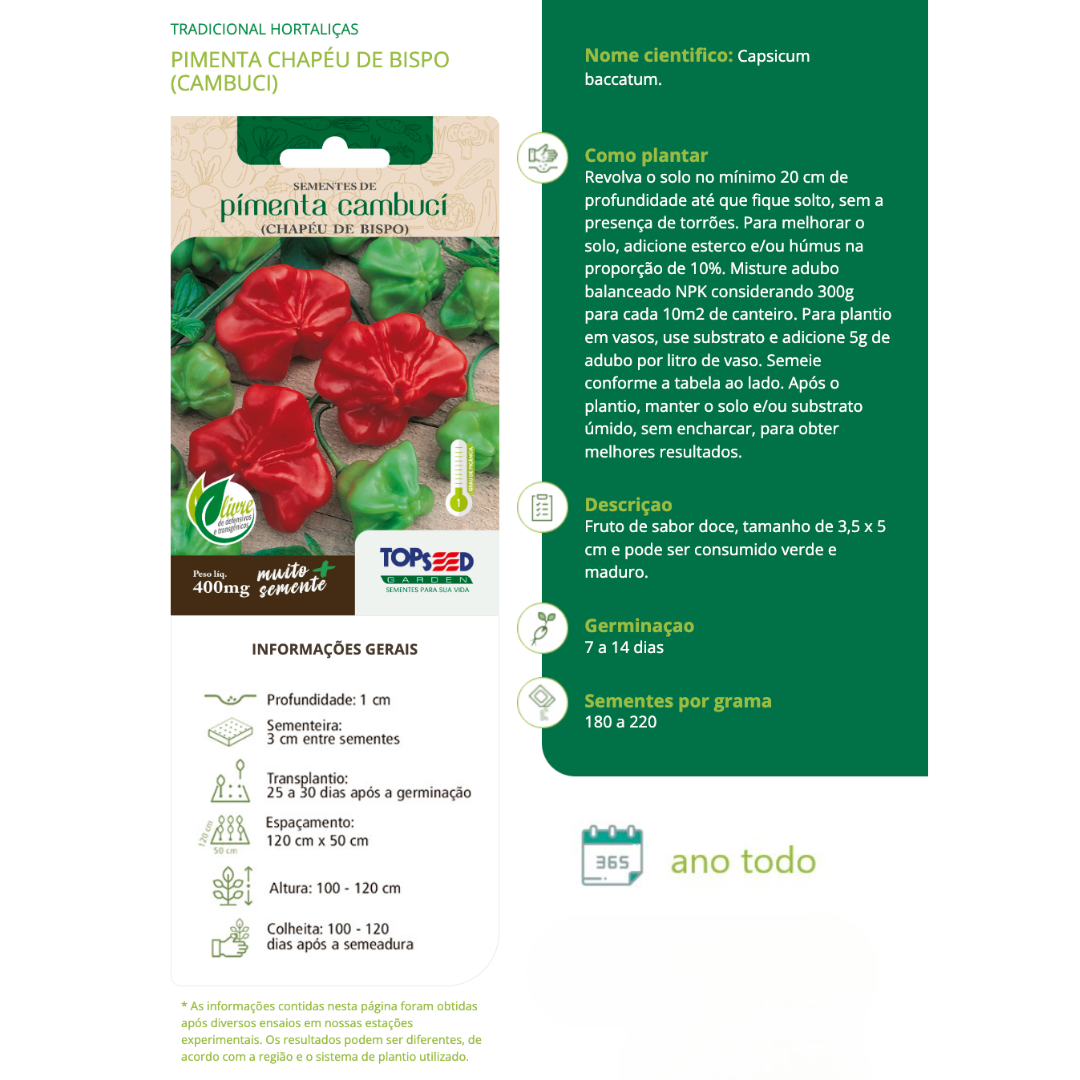 Kit 6 Sementes Horta Gourmet | Orégano, Alecrim, Salsa Lisa, Tomate, Pimenta Cambuci e Dedo-de-Moça - Imagem 7
