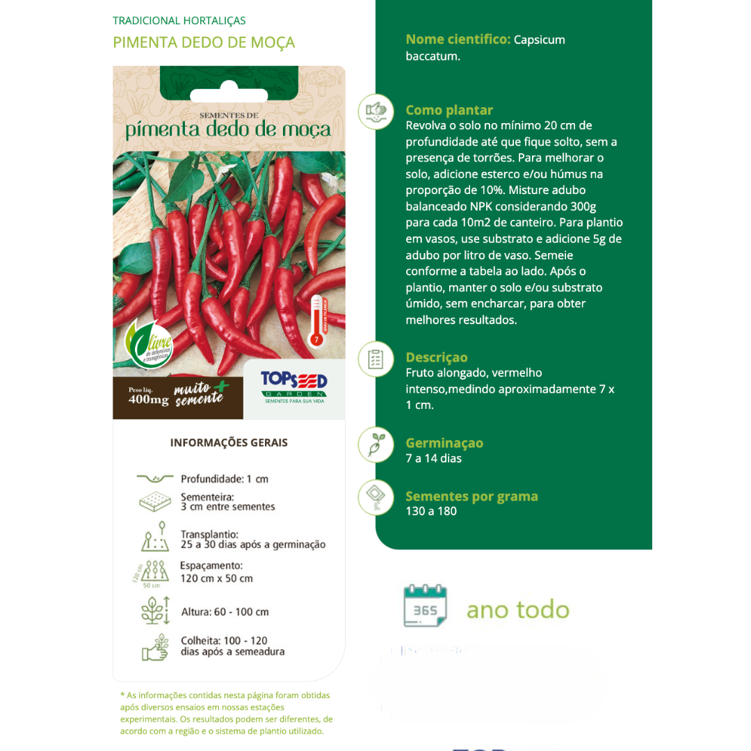 Kit 6 Sementes Horta Gourmet | Orégano, Alecrim, Salsa Lisa, Tomate, Pimenta Cambuci e Dedo-de-Moça - Imagem 6