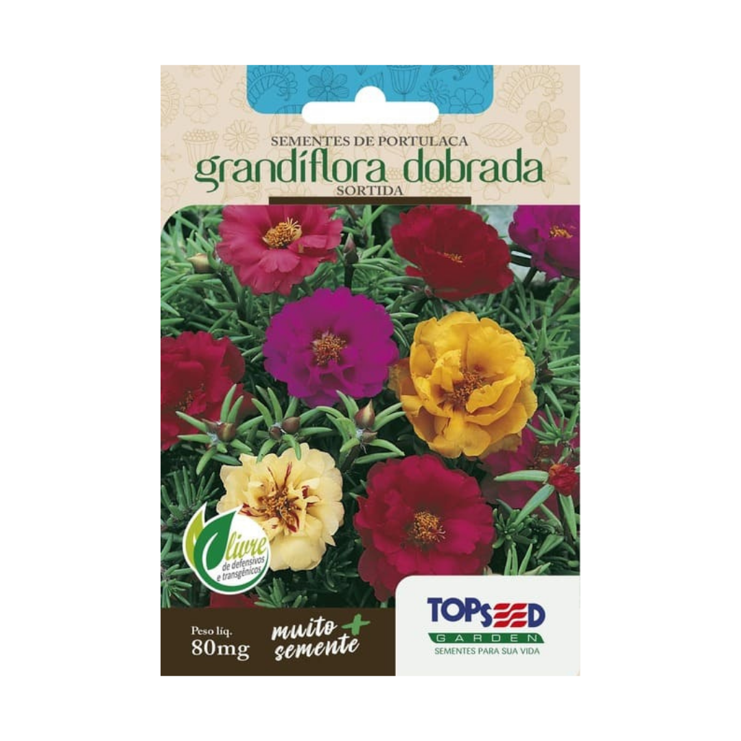 Semente De Portulaca Grandiflora Dobrada Sortida (Onze 11 Horas) 80mg | Topseed