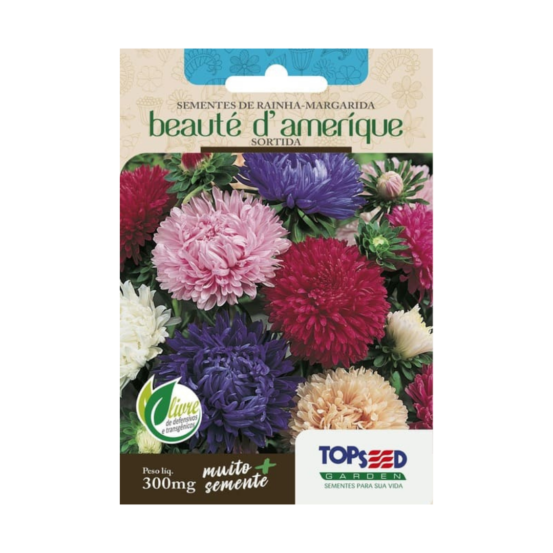 Semente De Rainha-Margarida Beauté D’Amérique Sortida 300mg | Topseed