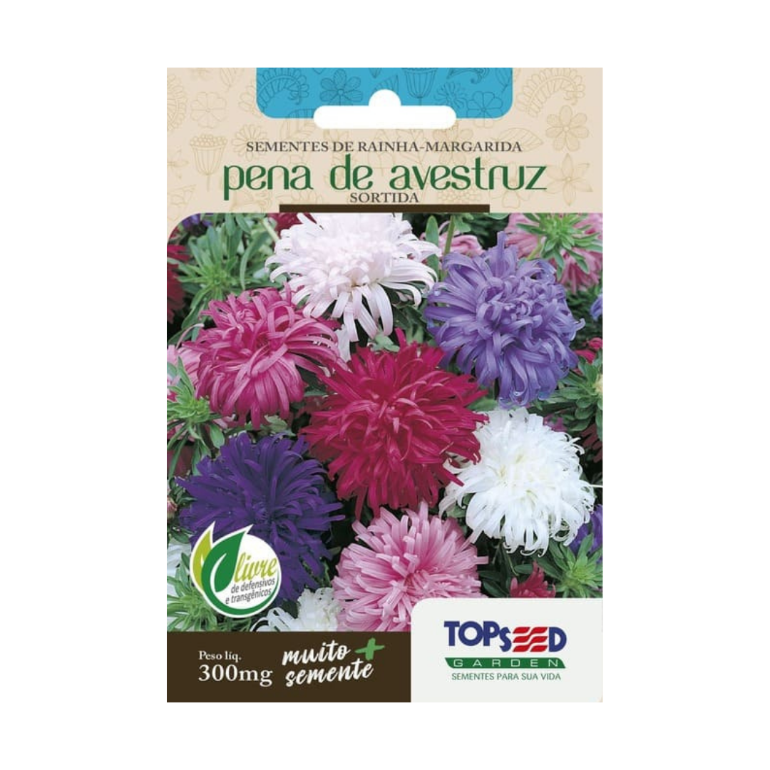Semente De Rainha-Margarida Pena de Avestruz Sortida 300mg | Topseed