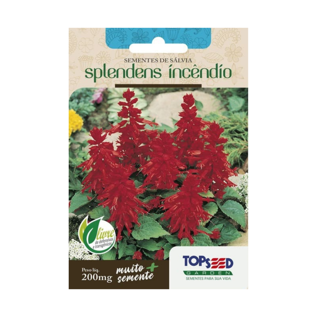Semente De Sálvia Splendens Incêndio 200mg | Topseed