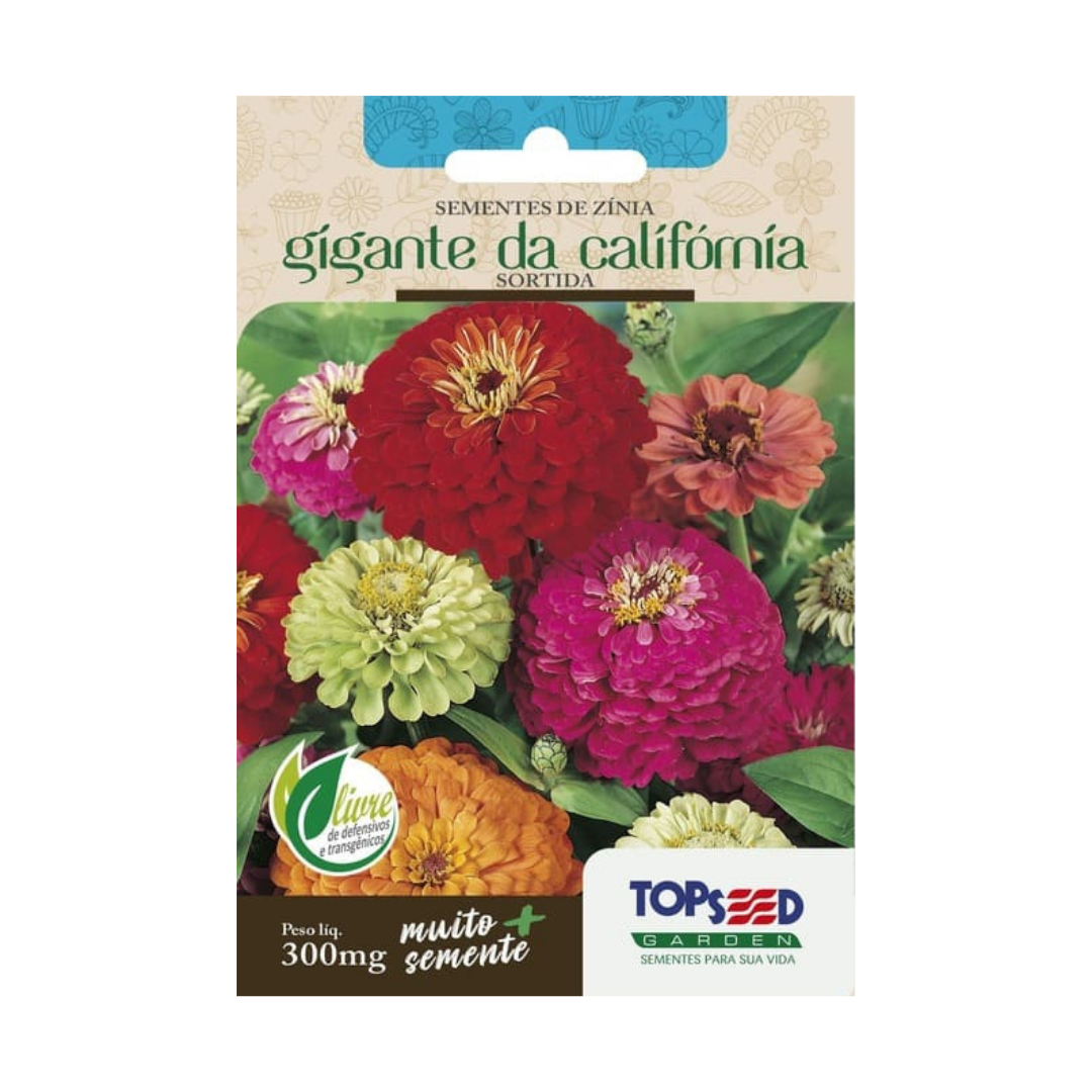 Semente De Zínia da Califórnia Gigante Sortida 300mg | Topseed