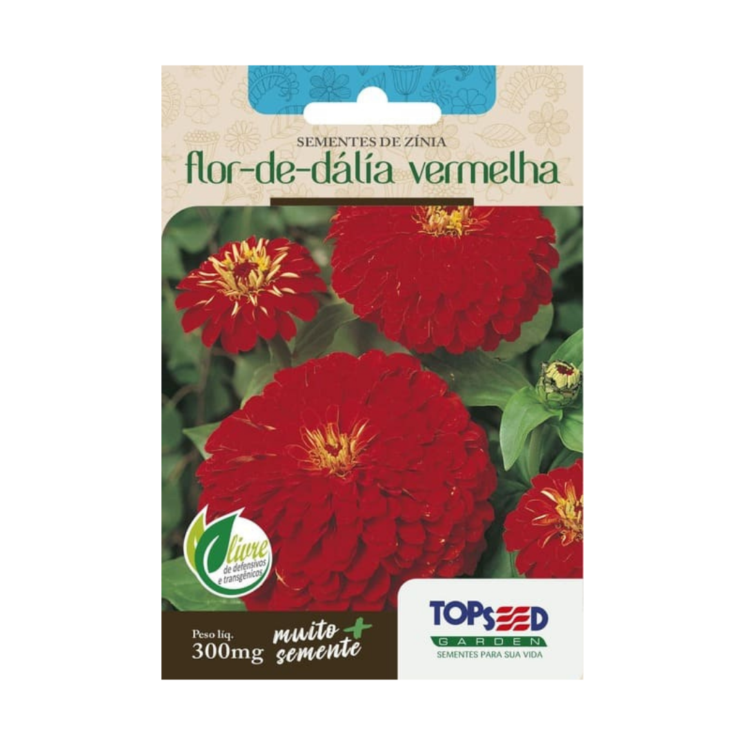 Semente De Zínia Flor-de-Dália Vermelha 300mg | Topseed