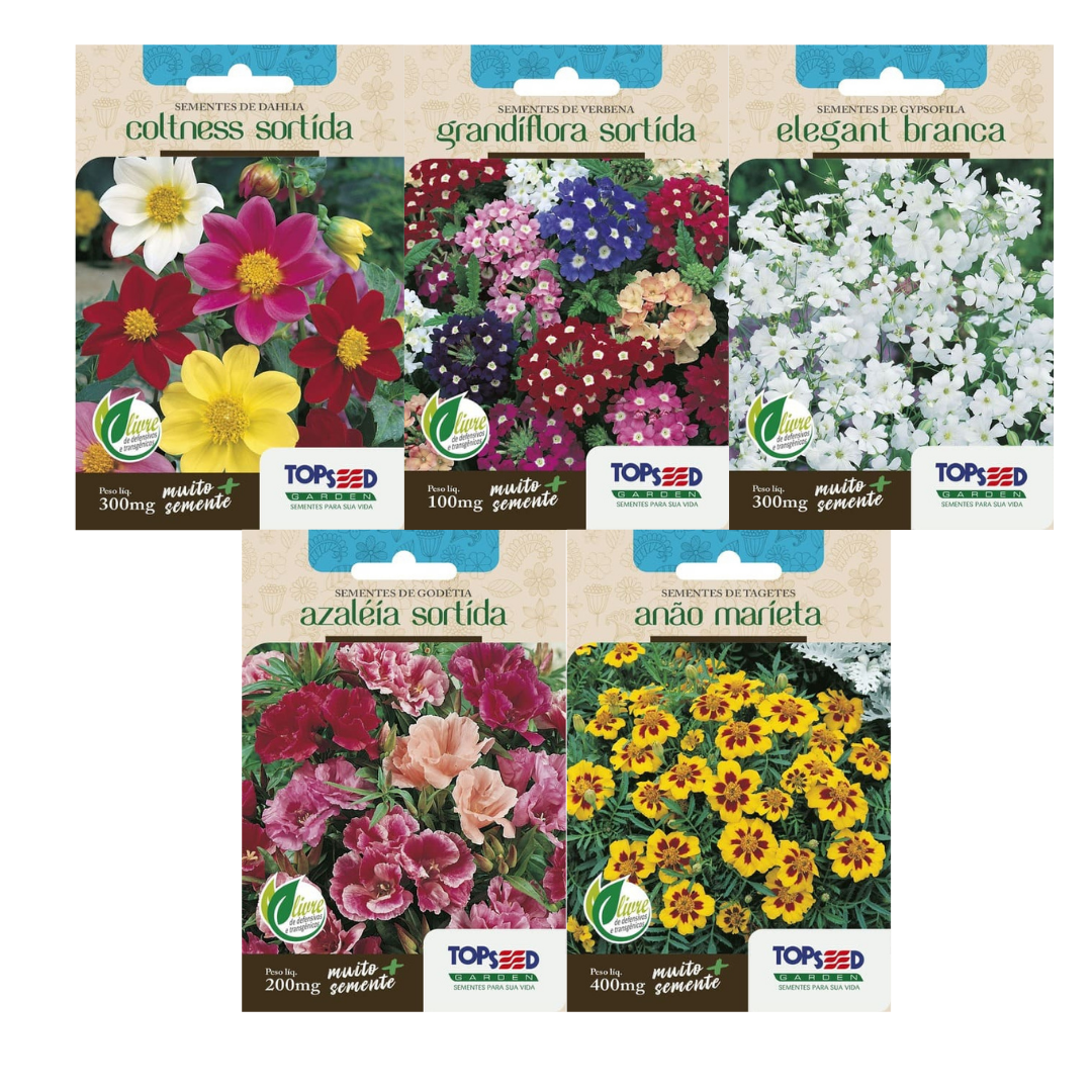 Kit 5 Sementes de Flores | Dahlia, Verbena, Gypsofila, Godetia e Tagetes | Topseed