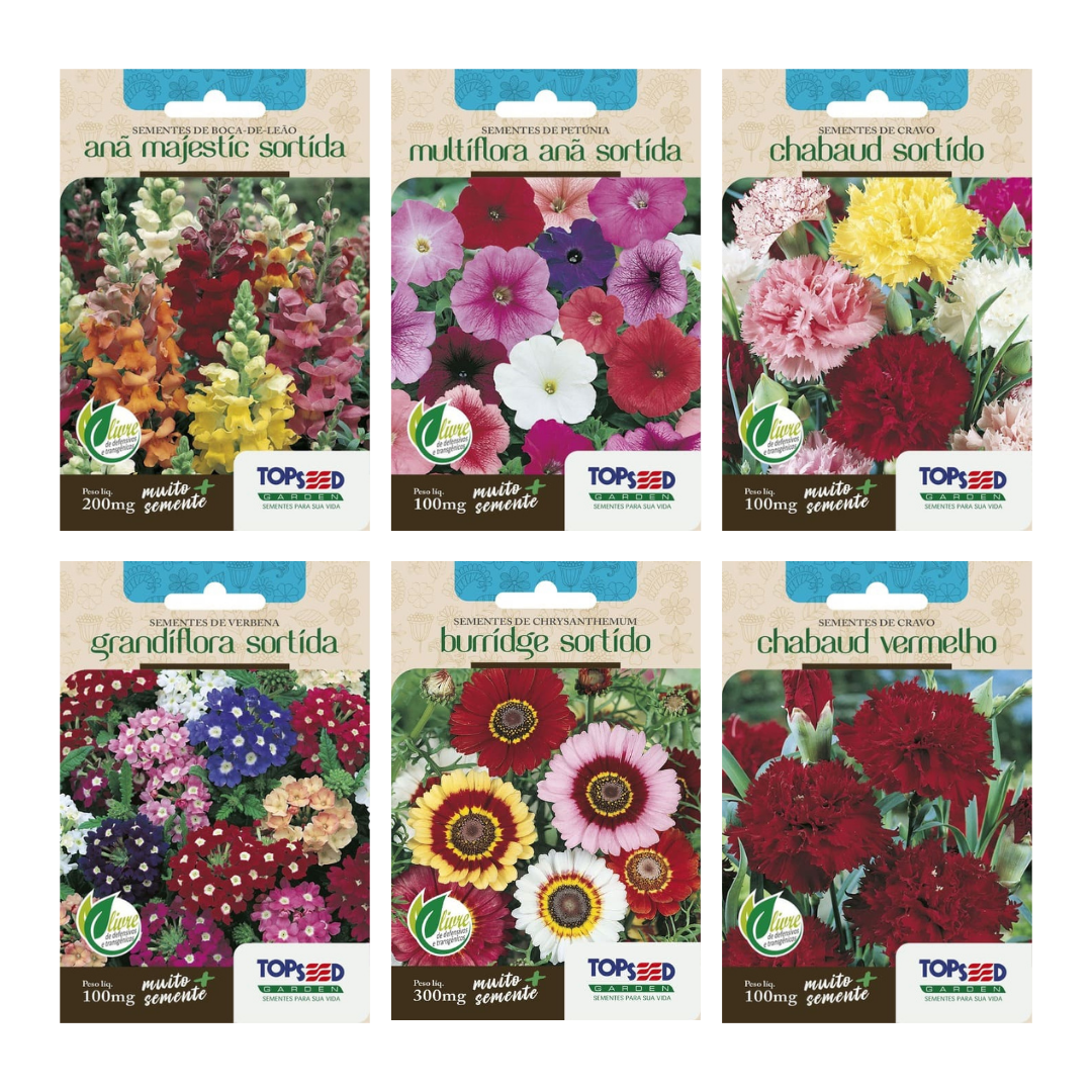 Kit 6 Sementes de Flores | Boca de Leão, Petúnia, Cravos, Verbena e Chrysanthemum