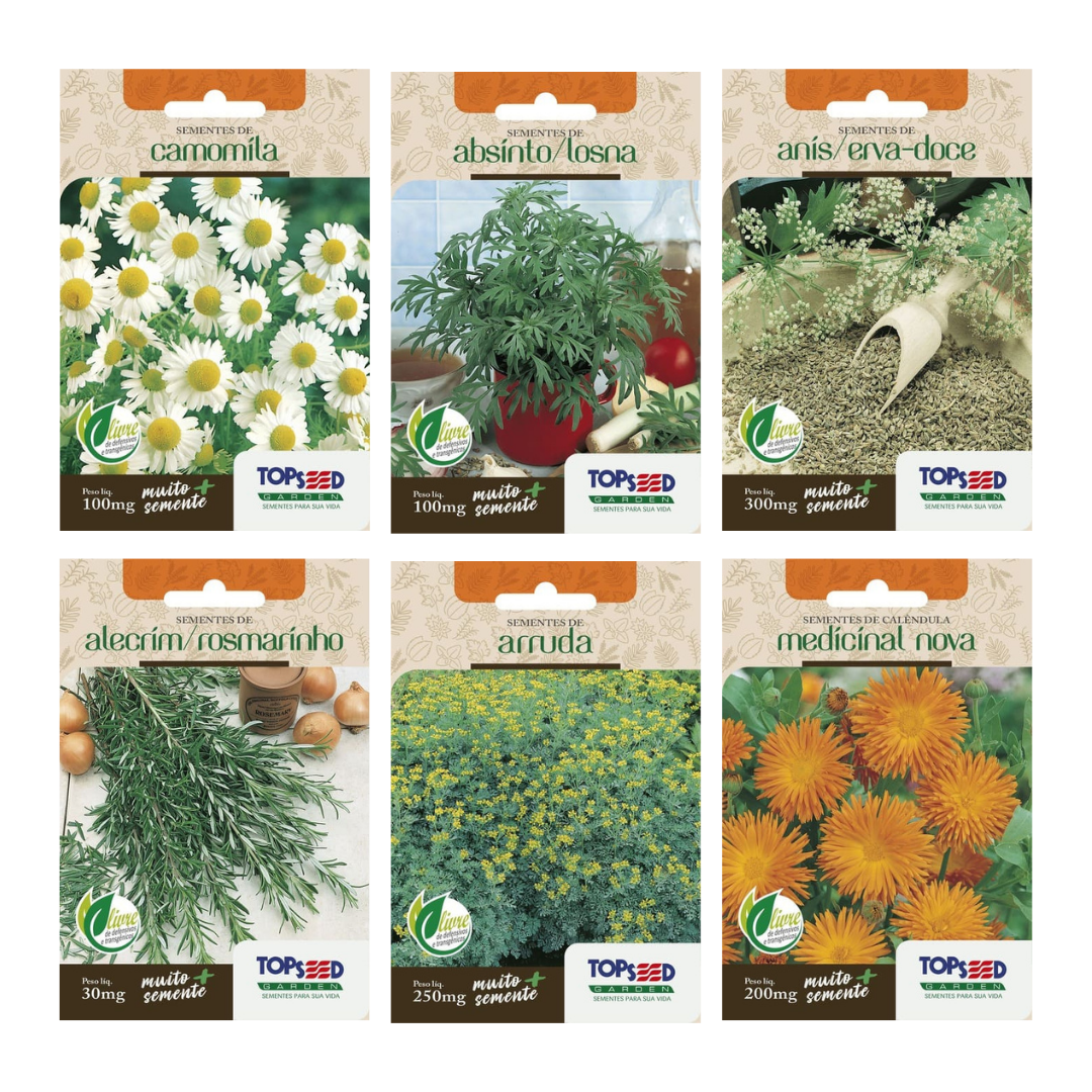 Kit 6 Sementes Plantas Medicinais e Aromáticas | Camomila, Absinto, Erva-Doce, Alecrim, Arruda e Calêndula