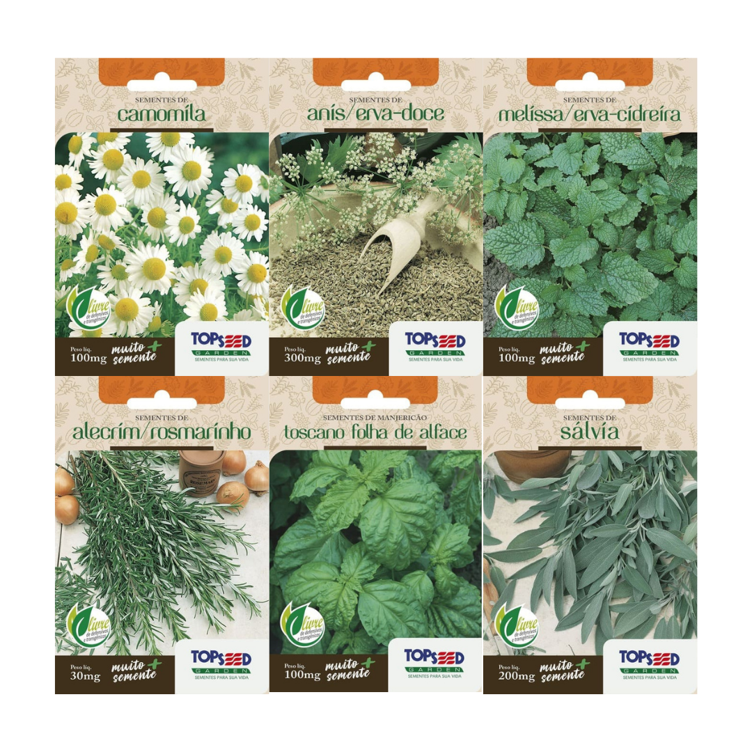 Kit 6 Chás Naturais: Camomila, Erva-Doce, Erva-Cidreira, Alecrim, Manjericão Folha Fina e Sálvia