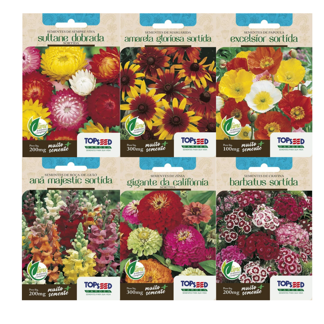 Kit 6 Sementes Flores Jardim Florido | Sempre-Viva, Margarida G., Papoula, Boca-de-Leão, Zínia Califórnia e Cravina B.