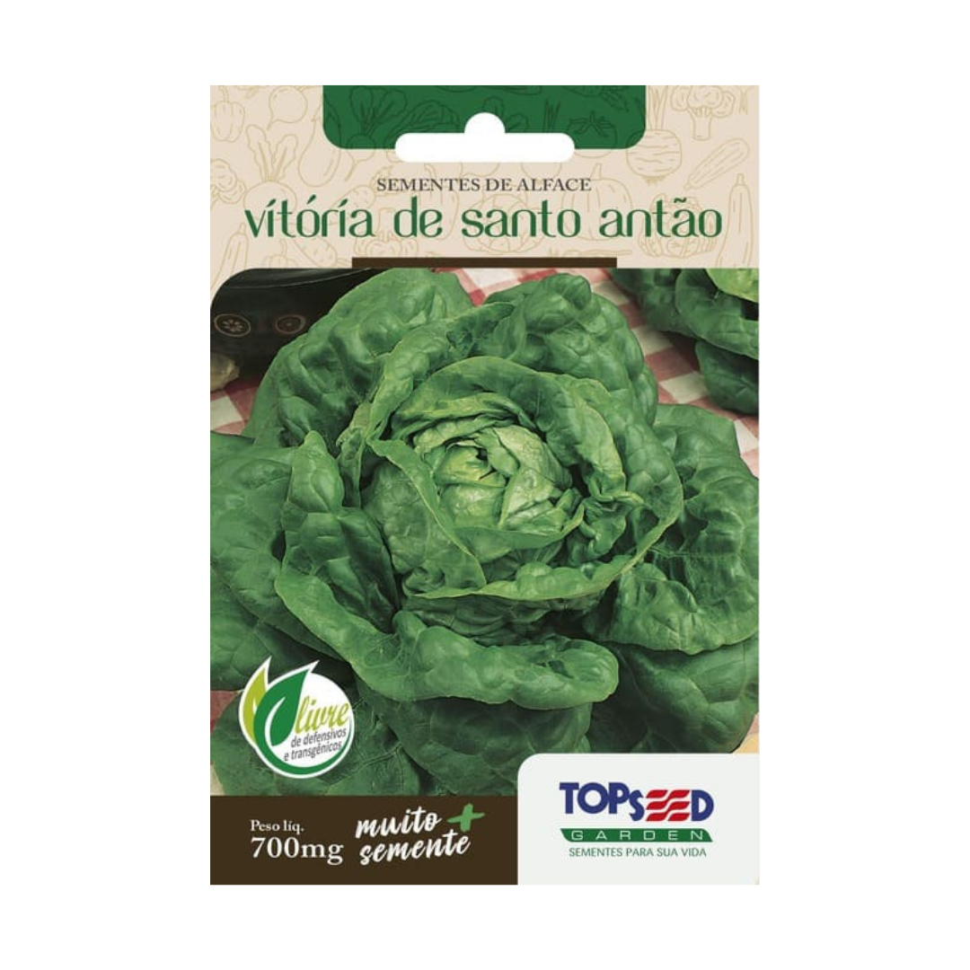 Semente De Alface Vitória de Santo Antão 700mg | Topseed