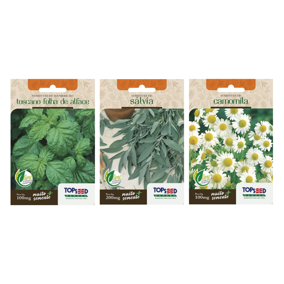 Kit 3 Semente Ervas Aromáticas: Manjericão Folha Fina, Sálvia e Camomila