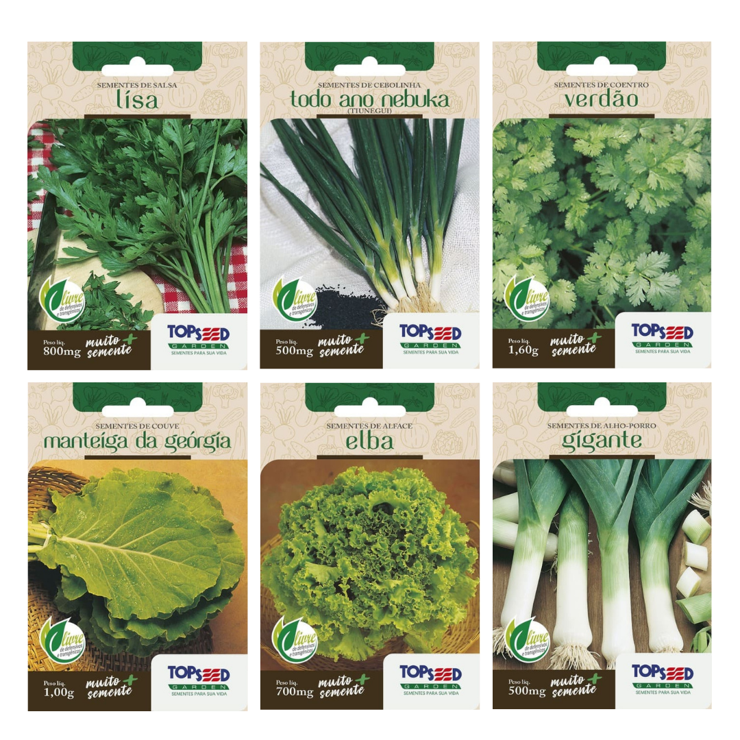 Kit 6 Sementes Horta Caseira | Salsa Lisa, Cebolinha Todo Ano, Coentro Verdão, Couve Manteiga, Alface Elba e Alho Porro
