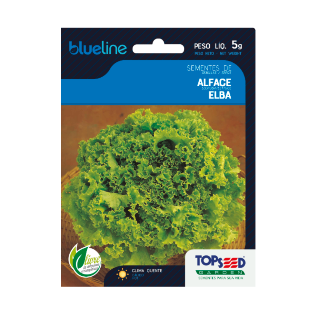 Semente De Alface Elba Blue Line 5g | Topseed