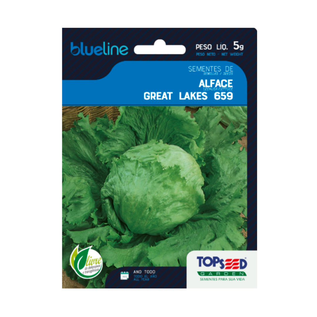 Semente De Alface Great Lakes Blue Line 5g | Topseed