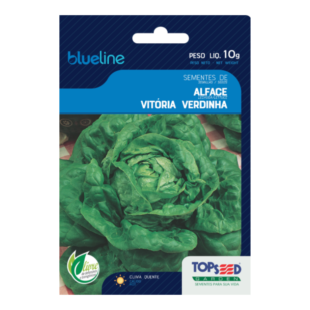 Semente De Alface Vitória de Santo Antão Verdinha Blue Line 10g | Topseed