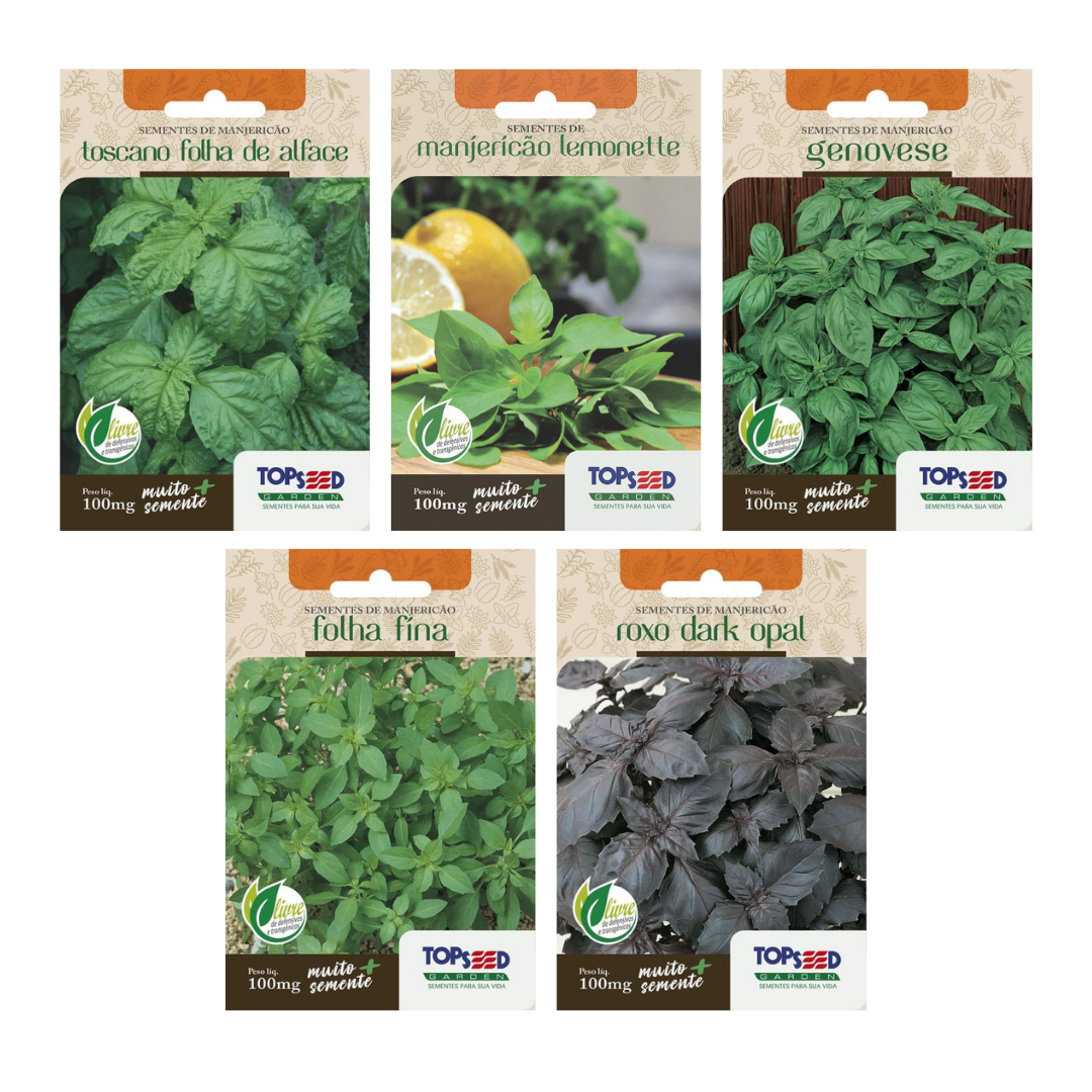 Kit 5 Sementes De Manjericão | Topseed