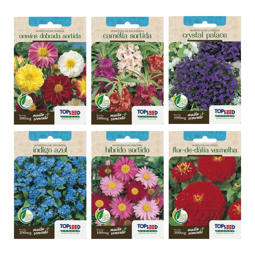 Kit 6 Sementes Flores: Dahlia+Balsamina+Lobélia+Piretro