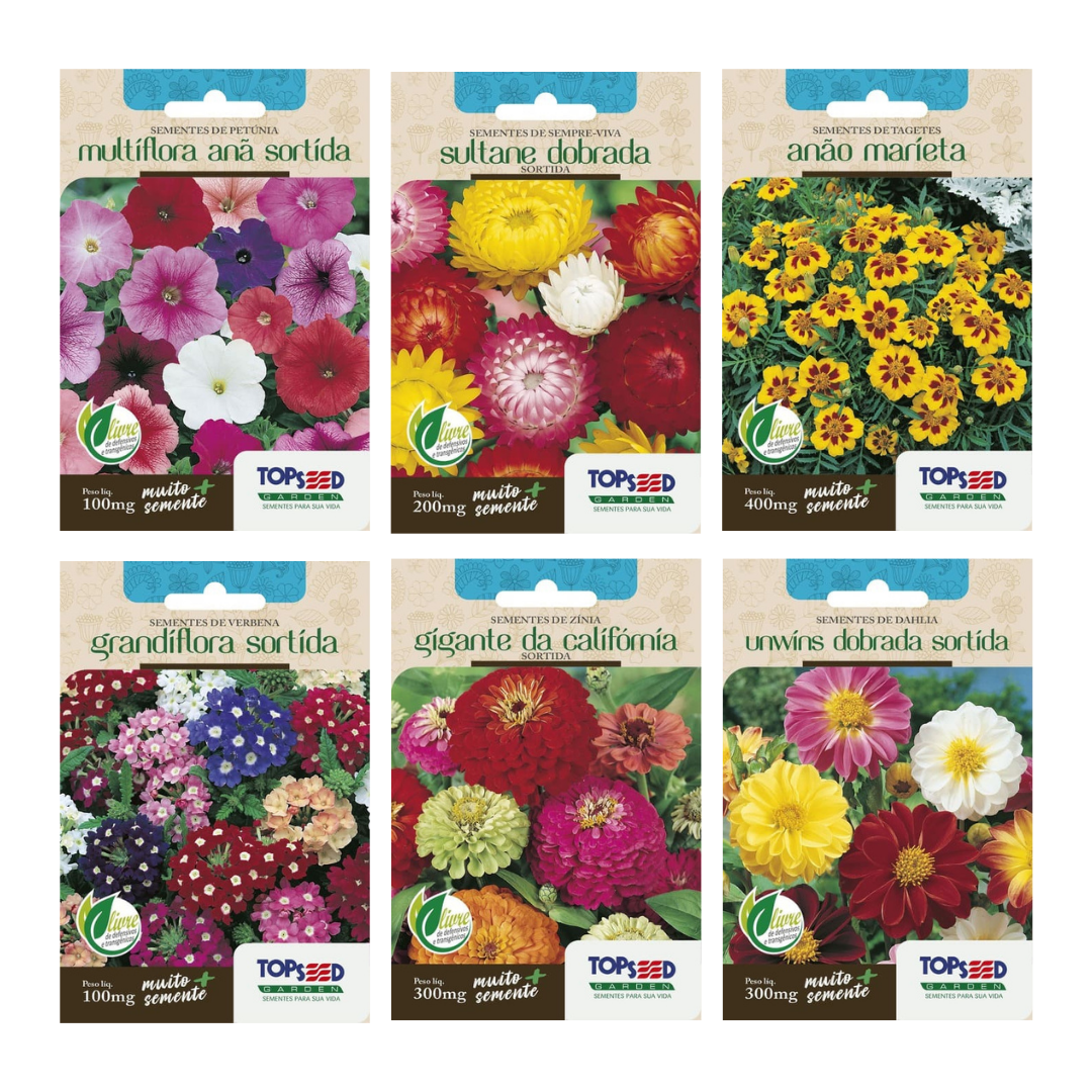 Kit 6 Sementes de Flores Petúnia, Sempre Viva, Tagetes Anão Marieta, Verbena, Zínia Califórnia e Dahlia Unwins