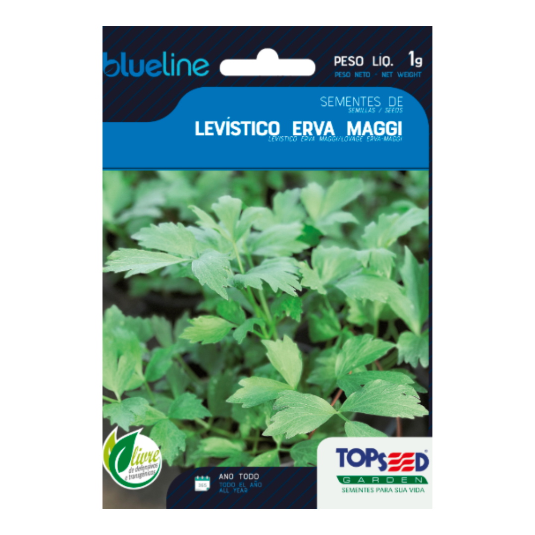 Semente De Levistico Erva Maggi Blue Line 1g | Topseed