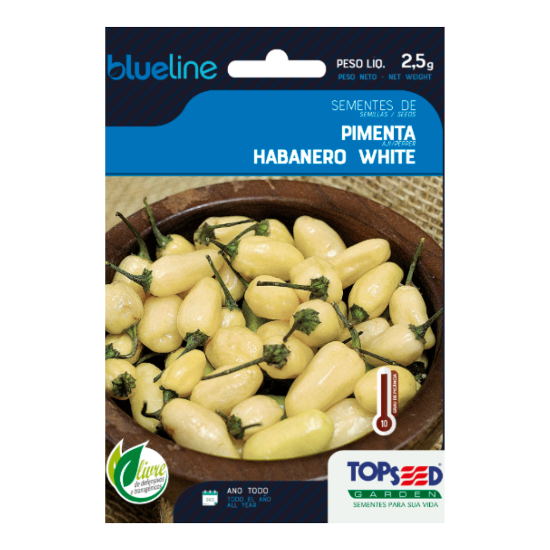 Semente De Pimenta Habanero White Blue Line 2,5g | Topseed