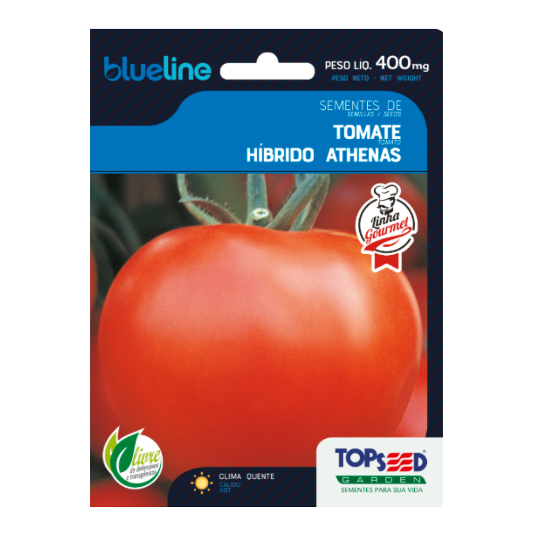 Semente De Tomate Híbrido Athenas Blue Line 400mg | Topseed
