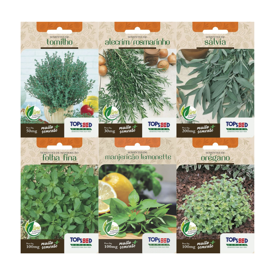 Kit 6 Sementes Ervas Aromáticas | Tomilho, Alecrim, Sálvia, Orégano, Manjericão Folha Fina e Limonette