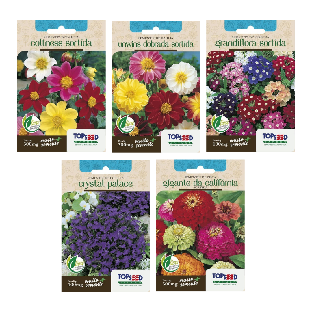 Kit 5 Sementes de Flores | Dahlia Unwins e Coltness, Verbena, Lobelia Cristal e Zinia California