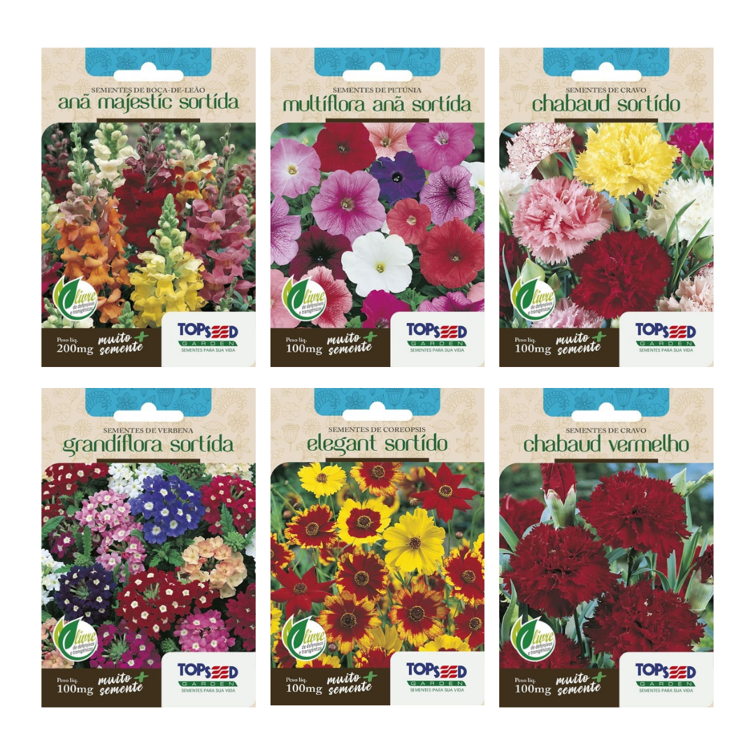 Kit 6 Sementes de Flores | Boca de Leão, Petúnia, Cravo Sortido, Cravo Vermelho, Verbena e Coreopsis