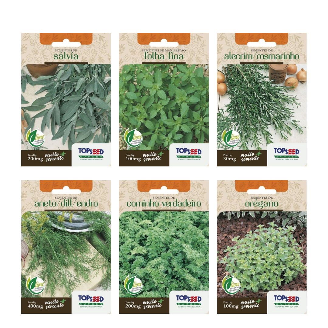 Kit 6 Sementes Ervas Aromáticas | Sálvia, Manjericão Folha Fina, Alecrim, Aneto/Dill, Cominho e Orégano